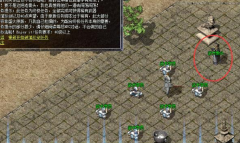 递交三本白日门魔法盾加上一坛质量